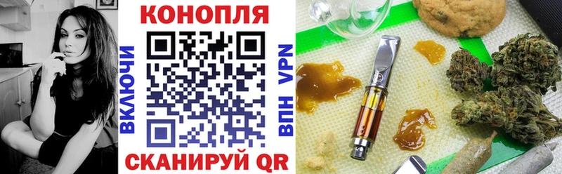 Конопля сатива  Инза 